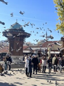 【ヨーロッパ周遊 #1】サラエボ旅行記｜モンテネグロから絶景バス移動と旧市街・戦争の記憶を巡る旅 🇧🇦